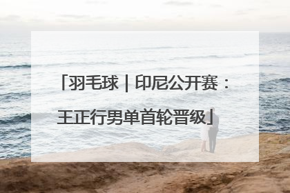 羽毛球｜印尼公开赛：王正行男单首轮晋级