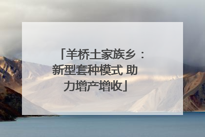 羊桥土家族乡：新型套种模式 助力增产增收