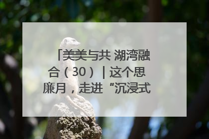 美美与共 湖湾融合（30）｜这个思廉月，走进“沉浸式”清风课堂