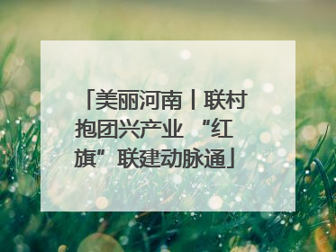 美丽河南丨联村抱团兴产业 “红旗”联建动脉通