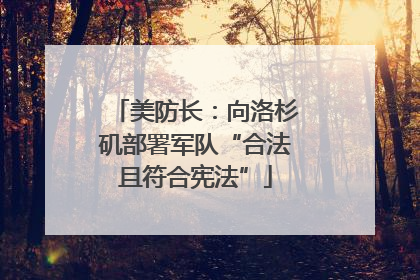 美防长：向洛杉矶部署军队“合法且符合宪法”