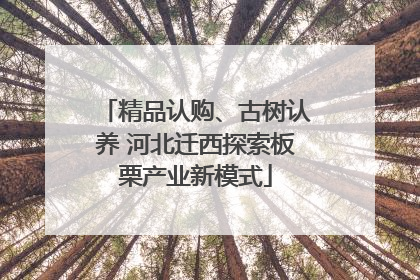 精品认购、古树认养 河北迁西探索板栗产业新模式