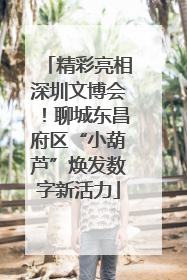 精彩亮相深圳文博会！聊城东昌府区“小葫芦”焕发数字新活力