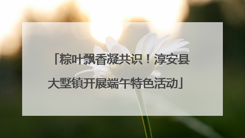 粽叶飘香凝共识!淳安县大墅镇开展端午特色活动