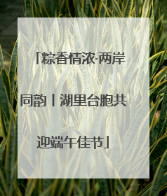 粽香情浓·两岸同韵丨湖里台胞共迎端午佳节