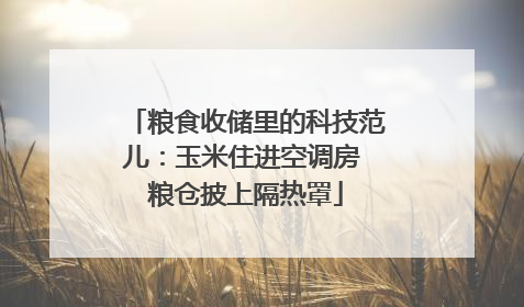 粮食收储里的科技范儿：玉米住进空调房 粮仓披上隔热罩