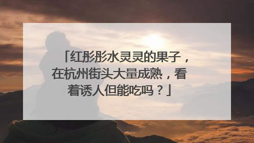 红彤彤水灵灵的果子，在杭州街头大量成熟，看着诱人但能吃吗？