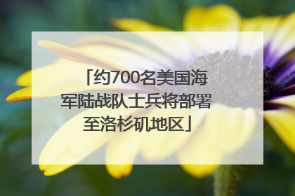 约700名美国海军陆战队士兵将部署至洛杉矶地区