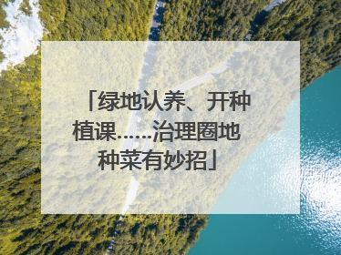绿地认养、开种植课……治理圈地种菜有妙招