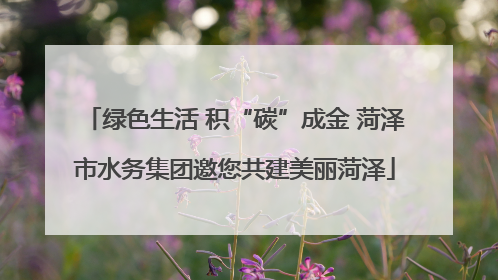 绿色生活 积“碳”成金 菏泽市水务集团邀您共建美丽菏泽