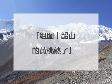 组图丨韶山的黄桃熟了