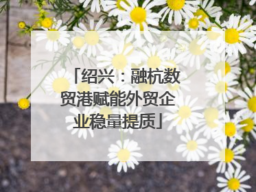 绍兴：融杭数贸港赋能外贸企业稳量提质