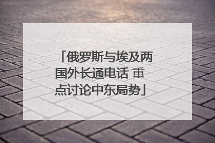 俄罗斯与埃及两国外长通电话 重点讨论中东局势
