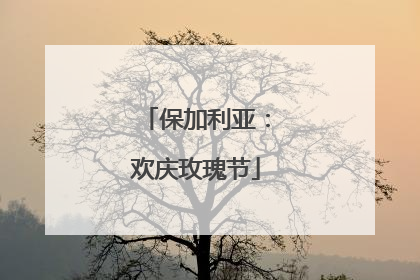 保加利亚：欢庆玫瑰节