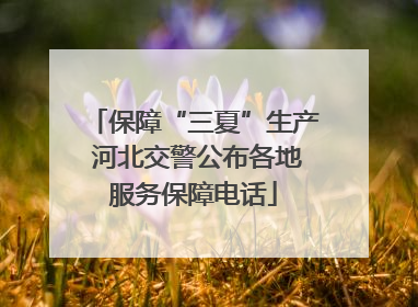 保障“三夏”生产 河北交警公布各地服务保障电话