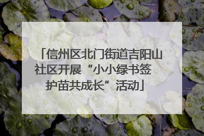 信州区北门街道吉阳山社区开展“小小绿书签 护苗共成长”活动
