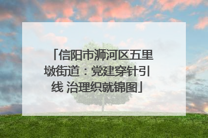 信阳市浉河区五里墩街道：党建穿针引线 治理织就锦图