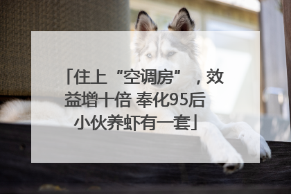 住上“空调房”，效益增十倍 奉化95后小伙养虾有一套