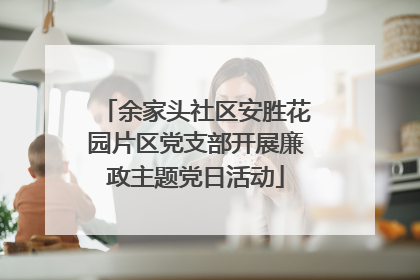 余家头社区安胜花园片区党支部开展廉政主题党日活动