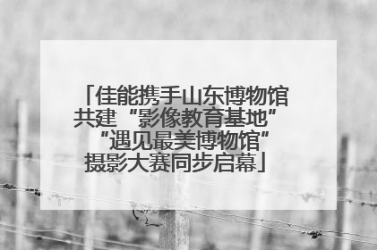 佳能携手山东博物馆共建“影像教育基地” “遇见最美博物馆”摄影大赛同步启幕