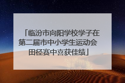 临汾市向阳学校学子在第二届市中小学生运动会田径赛中喜获佳绩