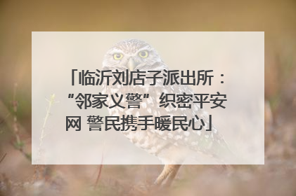 临沂刘店子派出所：“邻家义警”织密平安网 警民携手暖民心