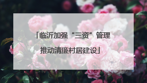 临沂加强“三资”管理 推动清廉村居建设