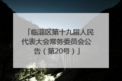 临淄区第十九届人民代表大会常务委员会公告（第20号）