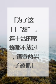 为了这一口“甜”，连干活的蜜蜂都不放过，诸暨两男子被抓