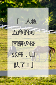 一人救五命的河南籍少校张伟，归队了！