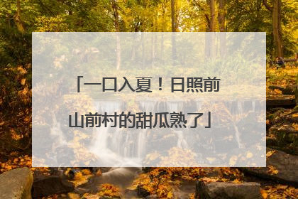 一口入夏!日照前山前村的甜瓜熟了