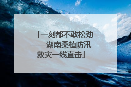一刻都不敢松劲——湖南桑植防汛救灾一线直击