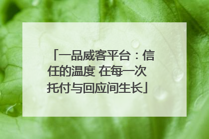 一品威客平台：信任的温度 在每一次托付与回应间生长