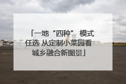一地“四种” 模式任选 从定制小菜园看城乡融合新图景