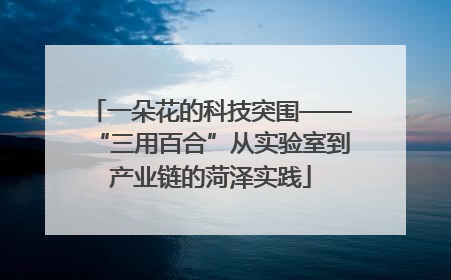一朵花的科技突围——“三用百合”从实验室到产业链的菏泽实践