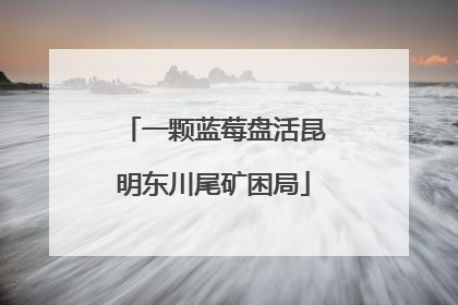 一颗蓝莓盘活昆明东川尾矿困局