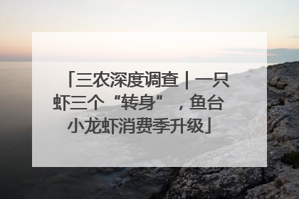 三农深度调查｜一只虾三个“转身”，鱼台小龙虾消费季升级