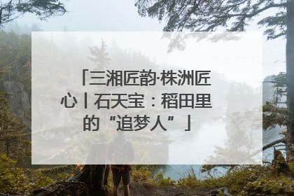 三湘匠韵·株洲匠心丨石天宝：稻田里的“追梦人”