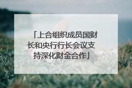 上合组织成员国财长和央行行长会议支持深化财金合作