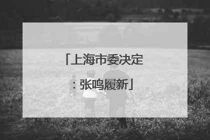 上海市委决定：张鸣履新