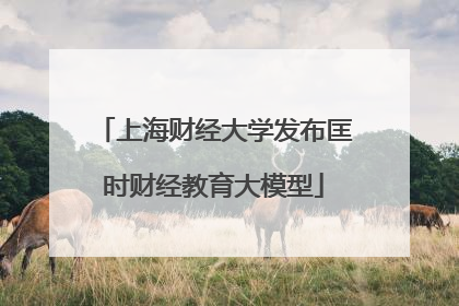 上海财经大学发布匡时财经教育大模型