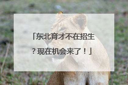 东北育才不在招生？现在机会来了！