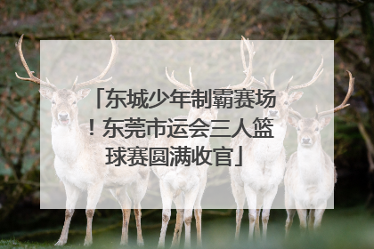 东城少年制霸赛场！东莞市运会三人篮球赛圆满收官