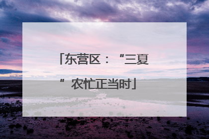 东营区：“三夏”农忙正当时