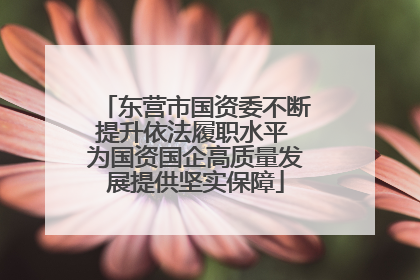东营市国资委不断提升依法履职水平 为国资国企高质量发展提供坚实保障