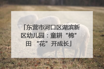 东营市河口区湖滨新区幼儿园：童耕“棉”田 “花”开成长