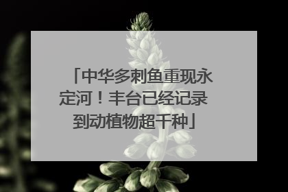 中华多刺鱼重现永定河！丰台已经记录到动植物超千种