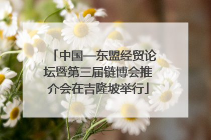 中国—东盟经贸论坛暨第三届链博会推介会在吉隆坡举行