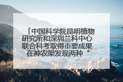中国科学院昆明植物研究所和深圳兰科中心联合科考取得重要成果 在神农架发现两种“国保”级兰花