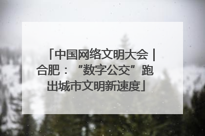 中国网络文明大会｜合肥：“数字公交”跑出城市文明新速度